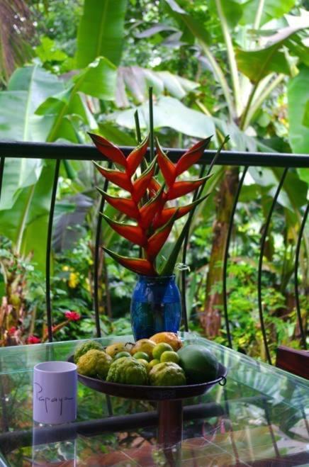 ויקטוריה Papayas Self Catering Room מראה חיצוני תמונה