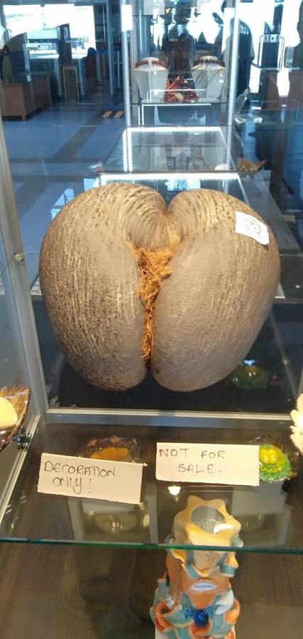 ויקטוריה Papayas Self Catering Room מראה חיצוני תמונה